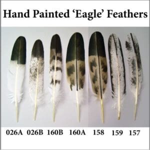 Hand-painted Eagle Feathers