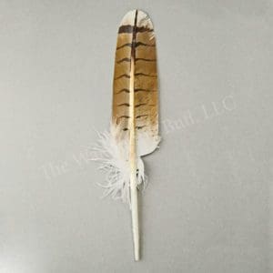Handpainted Redtail Hawk Feather female