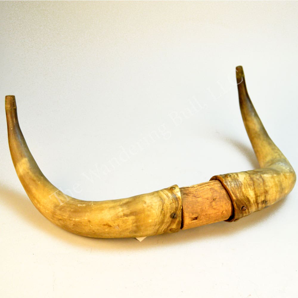 Steer Horn Set