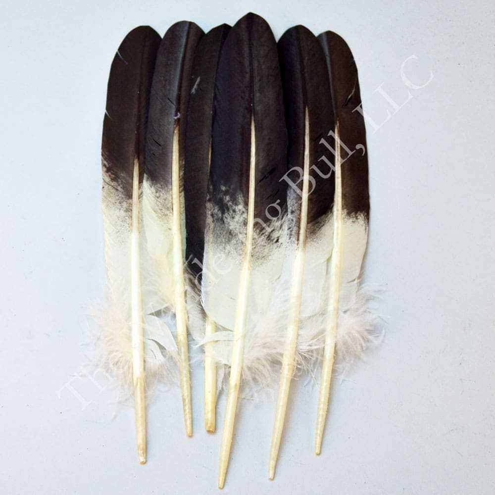 Hand-painted “Eagle” Feathers #2 Quality
