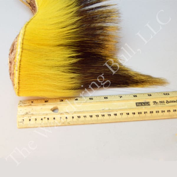 Roach 18 Inch Yellow Porcupine