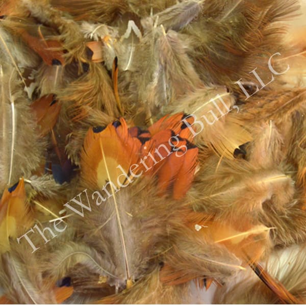 Feathers Assorted Pheasant Body
