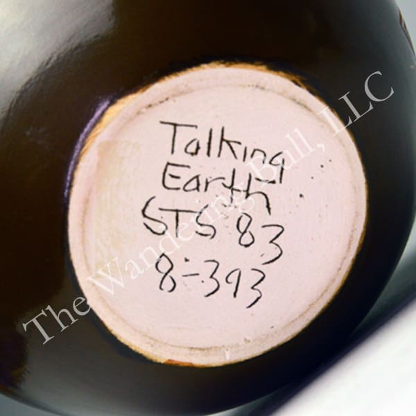 Pottery Talking Earth Spider Pot